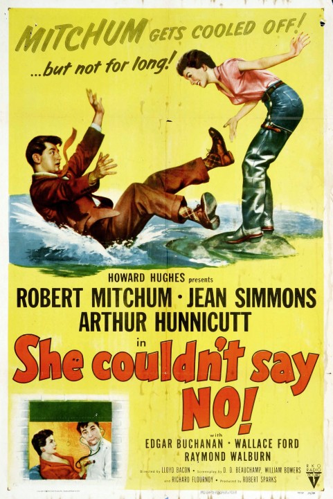 She Couldnt poster